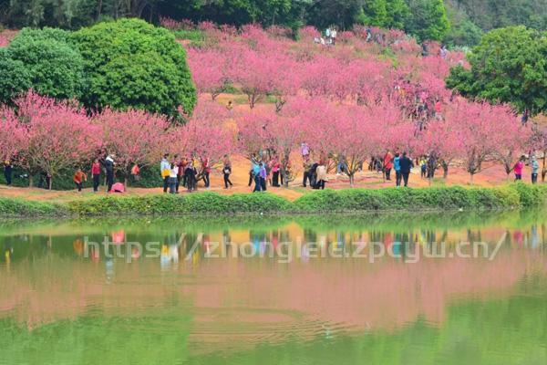 佛山南海区十大露营地点推荐-第5张图片-国内旅游_国外旅游_门票预订_露营骑行_酒店民宿_旅游攻略_美食资讯,_车票机票购买_众乐乐旅游网