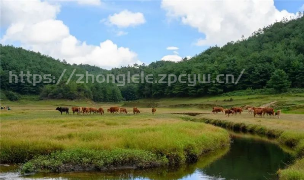 双柏九天湿地，宝藏徒步露营旅行地！-第9张图片-国内旅游_国外旅游_门票预订_露营骑行_酒店民宿_旅游攻略_美食资讯,_车票机票购买_众乐乐旅游网