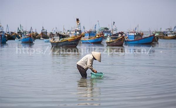 三亚小东海赶海地点-第2张图片-国内旅游_国外旅游_门票预订_露营骑行_酒店民宿_旅游攻略_美食资讯,_车票机票购买_众乐乐旅游网