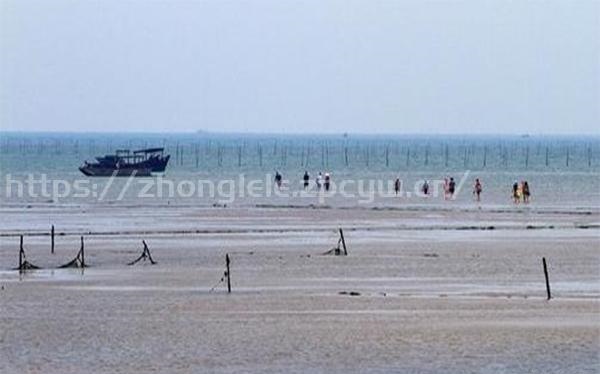 防城港适合赶海的海边小渔村-第2张图片-国内旅游_国外旅游_门票预订_露营骑行_酒店民宿_旅游攻略_美食资讯,_车票机票购买_众乐乐旅游网