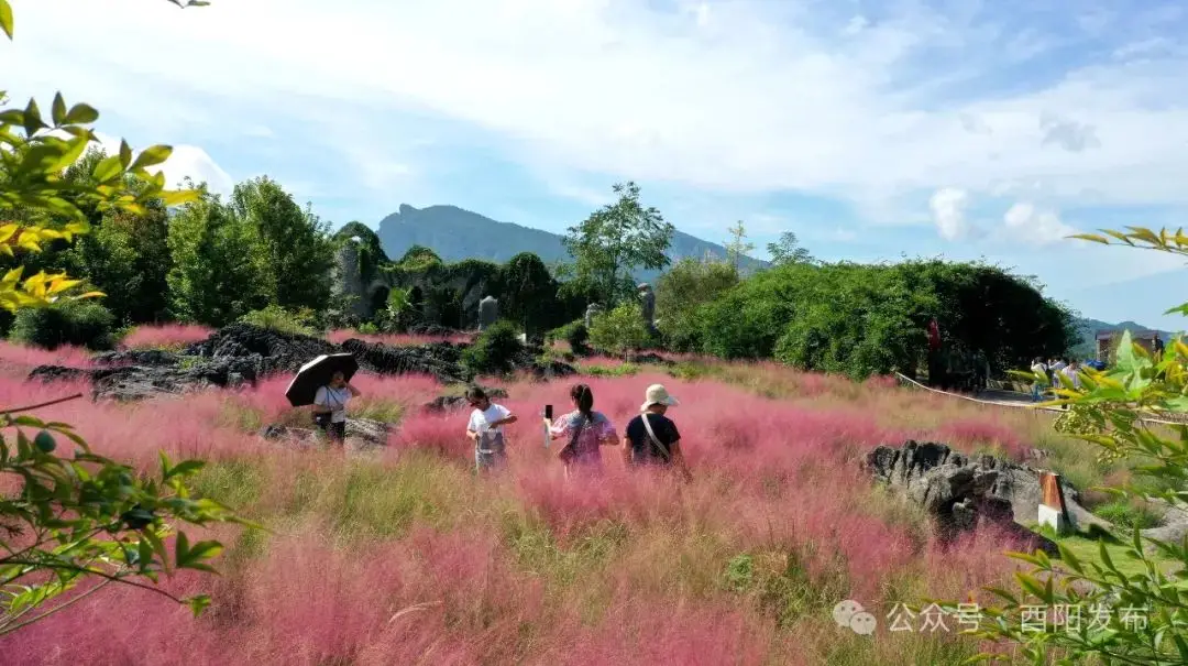 美丽乡村富起来！板溪镇扎营村蝶变的背后…… -第1张图片-国内旅游_国外旅游_门票预订_露营骑行_酒店民宿_旅游攻略_美食资讯,_车票机票购买_众乐乐旅游网